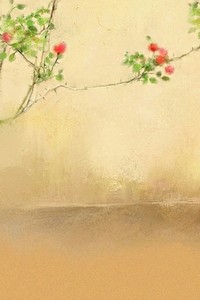 活拉亚连特队的挑战与未来：备战欧洲杯