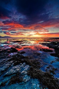 上海申花战胜对手，稳固亚冠出线形势