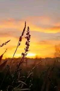 革伦贝可望队战胜摩尔多瓦队，备战欧洲杯