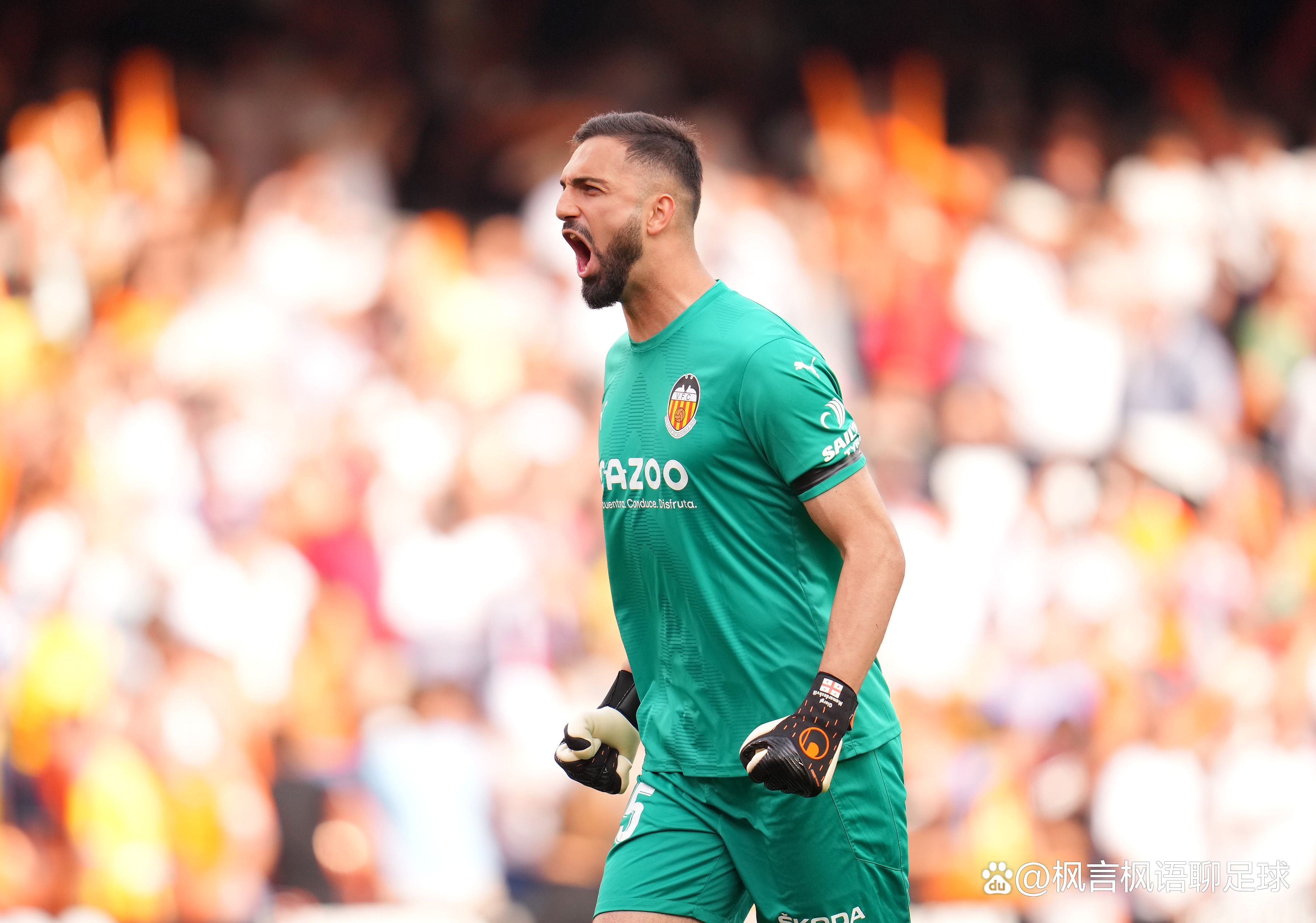 九游体育网页版入口-巴伦西亚队凭借团队合作实现胜利