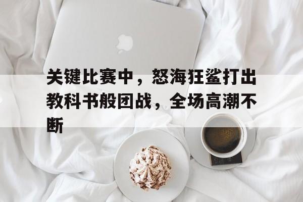 九游体育app下载-关键比赛中，怒海狂鲨打出教科书般团战，全场高潮不断