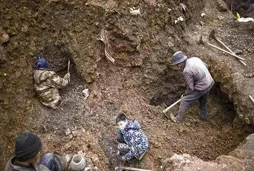 九游体育网页版入口-意外捡到金子视而不见仗剑走天涯