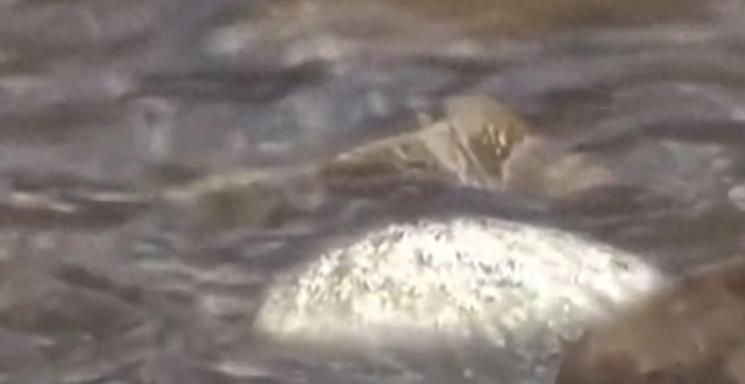 意外捡到金子视而不见仗剑走天涯